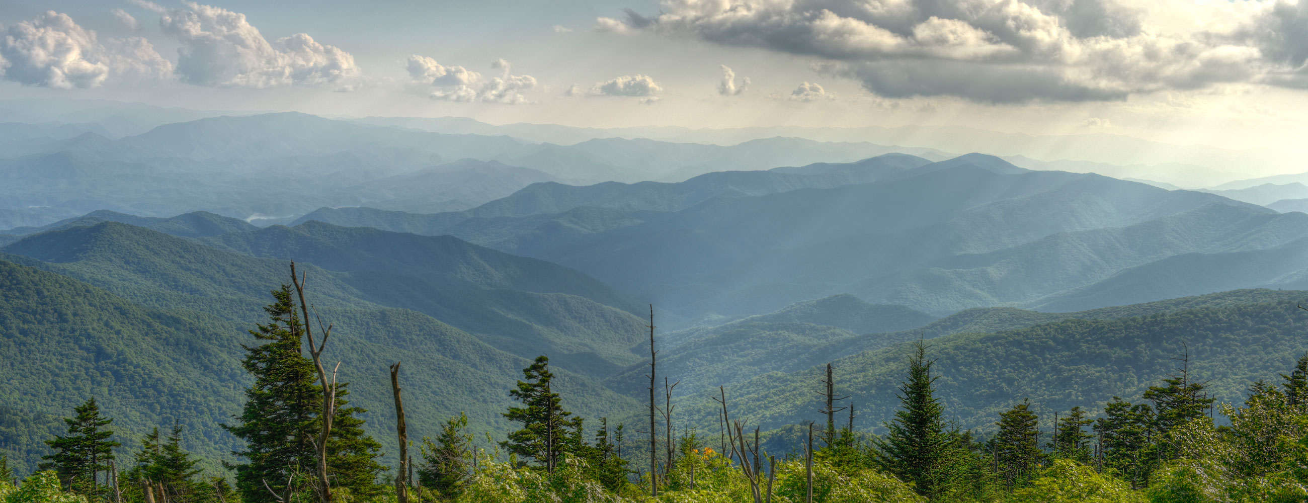 graintechafrica graintechafrica